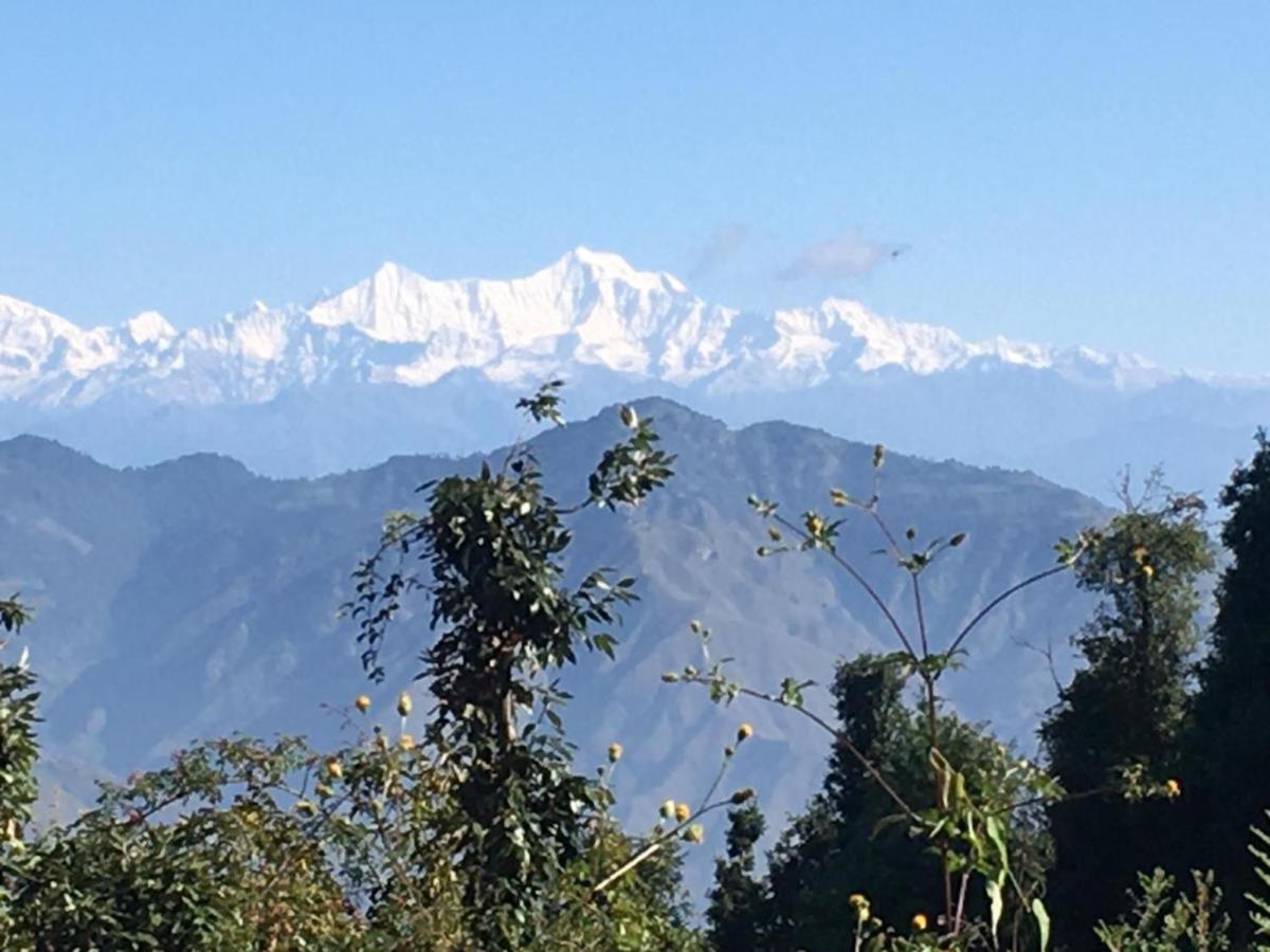 La Riqueza Dhanolti View # Near To Eco Park & Surkanda Devi Temple # Mountain View Rooms With Balcony # Big Parking # Customer Favourite Hotel Dhanaulti Bagian luar foto