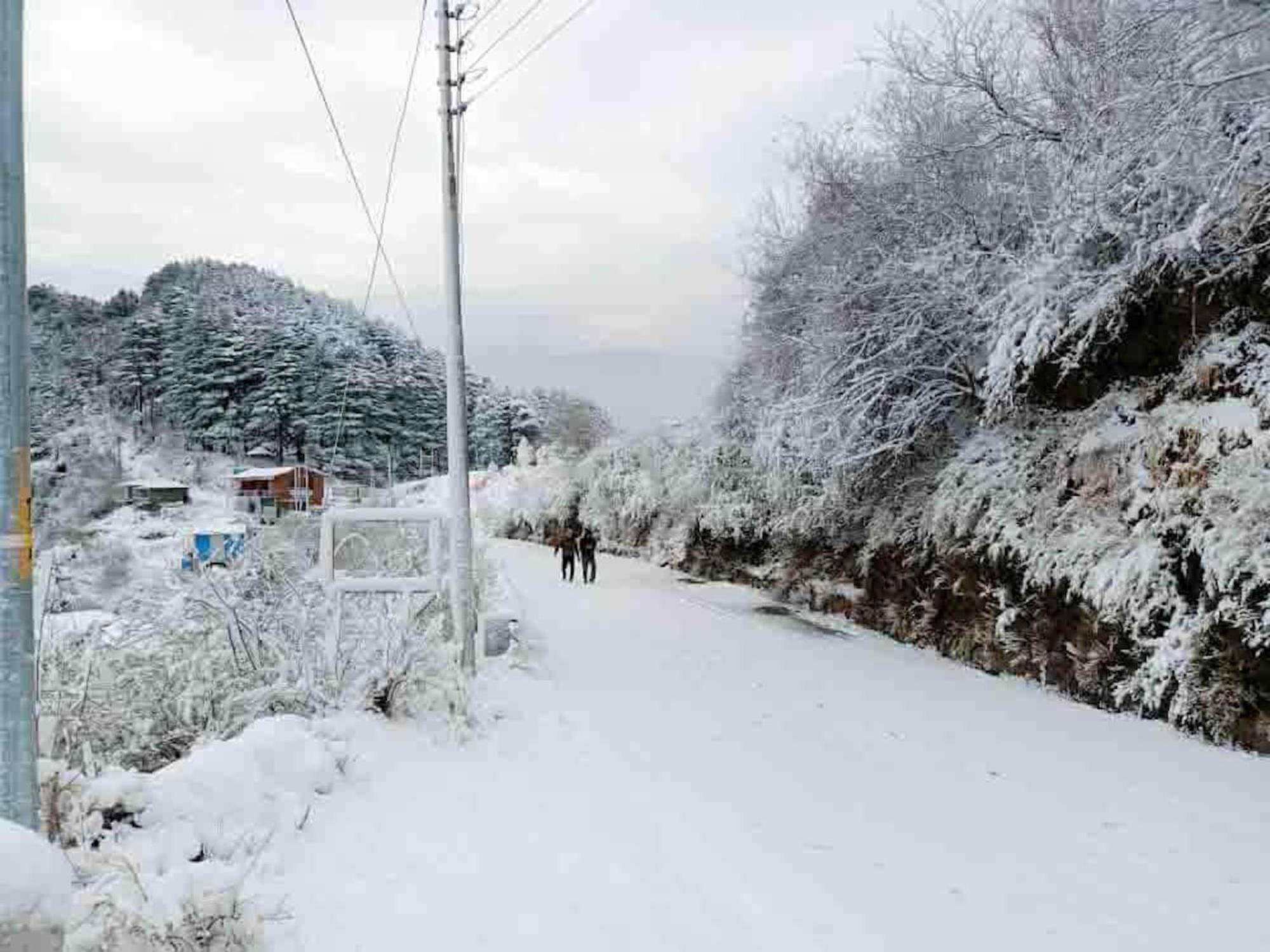La Riqueza Dhanolti View # Near To Eco Park & Surkanda Devi Temple # Mountain View Rooms With Balcony # Big Parking # Customer Favourite Hotel Dhanaulti Bagian luar foto