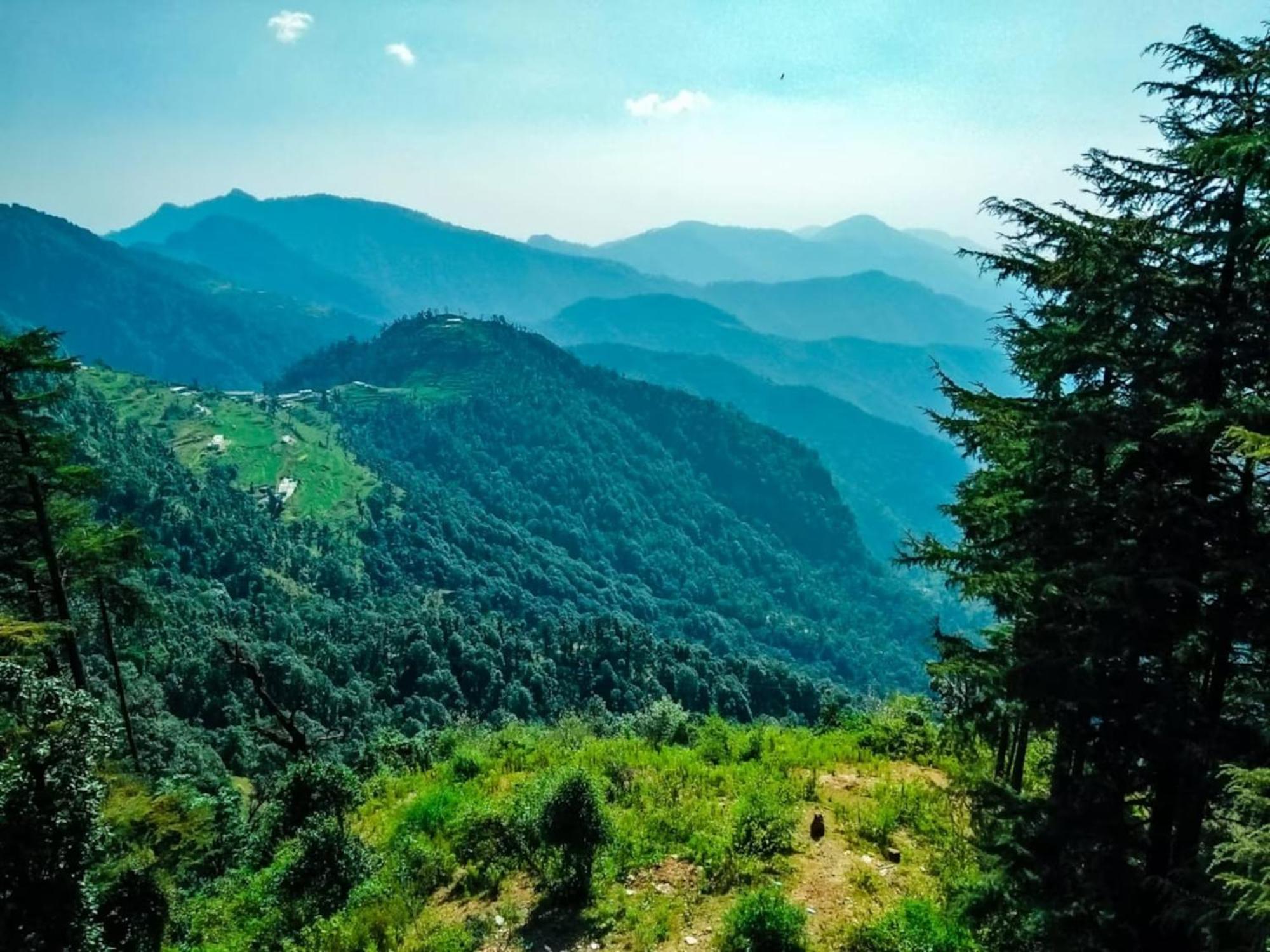 La Riqueza Dhanolti View # Near To Eco Park & Surkanda Devi Temple # Mountain View Rooms With Balcony # Big Parking # Customer Favourite Hotel Dhanaulti Bagian luar foto